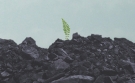 plant growing out of coal - this is the book cover for the novel mine